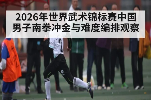 2026年世界武术锦标赛中国男子南拳冲金与难度编排观察